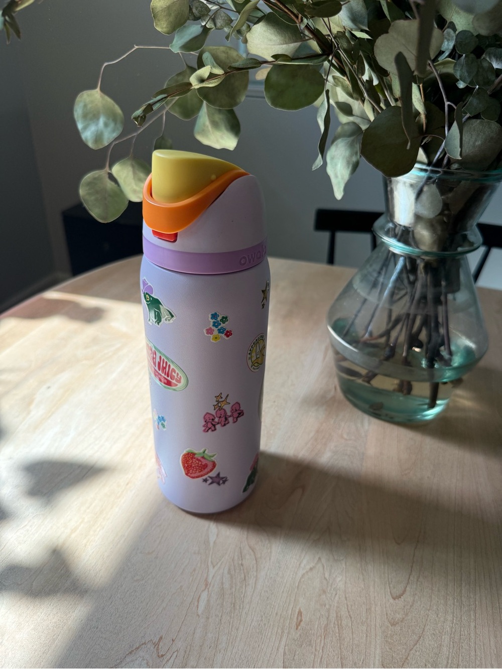 OWALA 32oz Dear Diary
